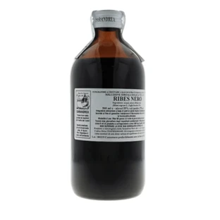 Macerado glicérico de 1000 ml de Ribes nigrum