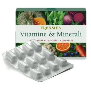 Vitamines et minéraux 24 comprimés