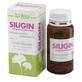 Siligin 60 tabletten 800 mg