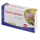 Extracto seco de cardo mariano 60 comprimidos