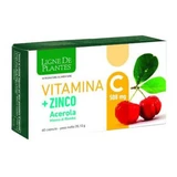 Ligne de plantes vitamin c 500 mg + zink acerola und bambus manna 60 kapseln