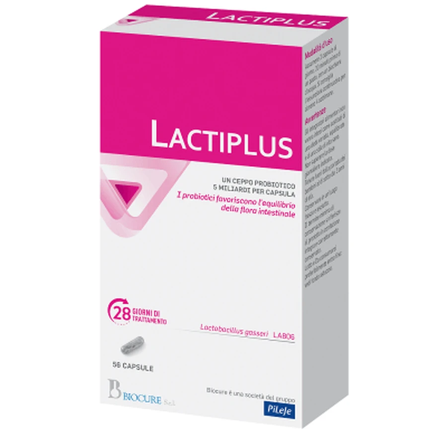 Lactiplus 56 gélules, Pileje
