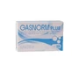 Gasnorm plus 36 gélules