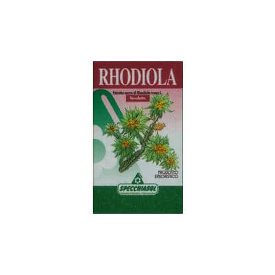 Rhodiola-Kraut 60tav