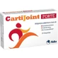 Cartijoint forte 20 tablets