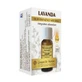Lavendel natürliches ätherisches Öl 10 ml
