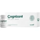 Cognizant 10 10 ml Flaschen