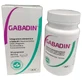 Gabadin 30 tablets