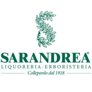 Ribes nigrum 500 ml macerado glicérico