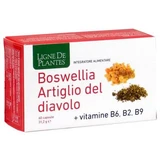 Boswellia duivelsklauw vitaminen b2 b6 b9 60 capsules