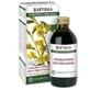 Baptisia extrait entier 200 ml