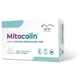 Mitocolin 30 comprimidos divisibles
