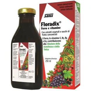 Floradix Eisen und Vitamine 250 ml