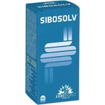 Sibosolv 60 säurebeständige Kapseln