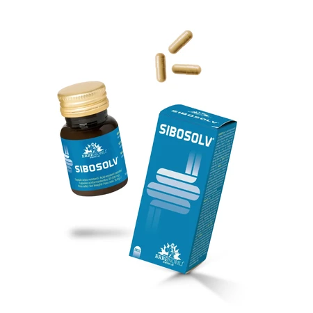 Sibosolv 60 säurebeständige Kapseln