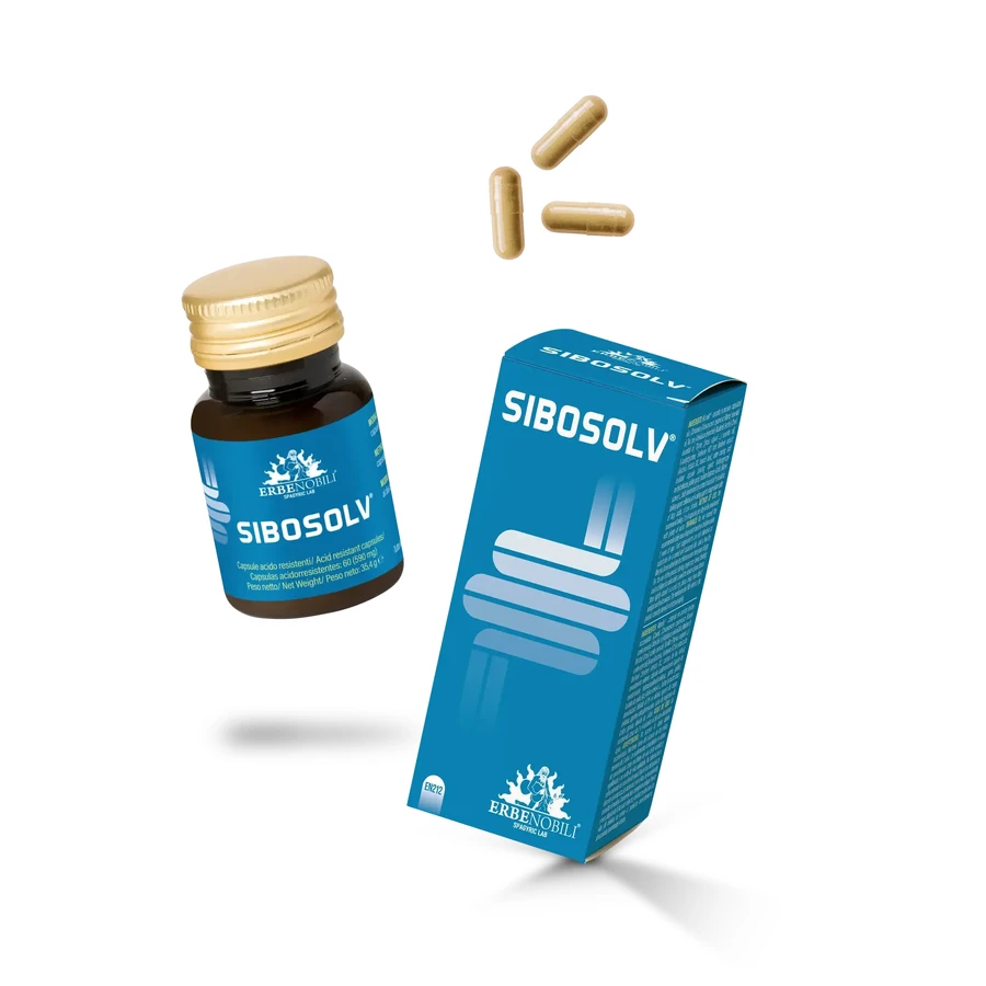 Sibosolv 60 säurebeständige Kapseln