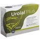 Uroial plus 14 3 g sachets
