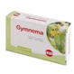 Gymnema extracto seco 60 comprimidos