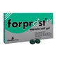 Forprost 400 15 cápsulas blandas