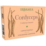 Cordyceps 24 plantaardige capsules