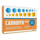 Carnidyn plus 20 5 g sachets orange flavor