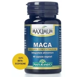 Máxima maca 40 cápsulas