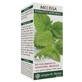 Zitronenmelisse Gesamtextrakt 200 ml