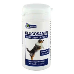Glucosamine+Chondroitin Dogs 60 St