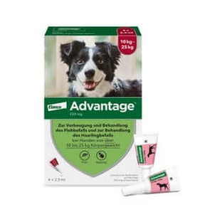 Advantage Spot-On 250 against fleas medium sized dogs 4 pcs.