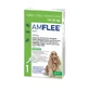 Amflee 134 mg spot-on oplossing voor middelgrote honden 10-20kg 3 st.
