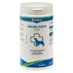 Canina Ajo en polvo para perros 700 g