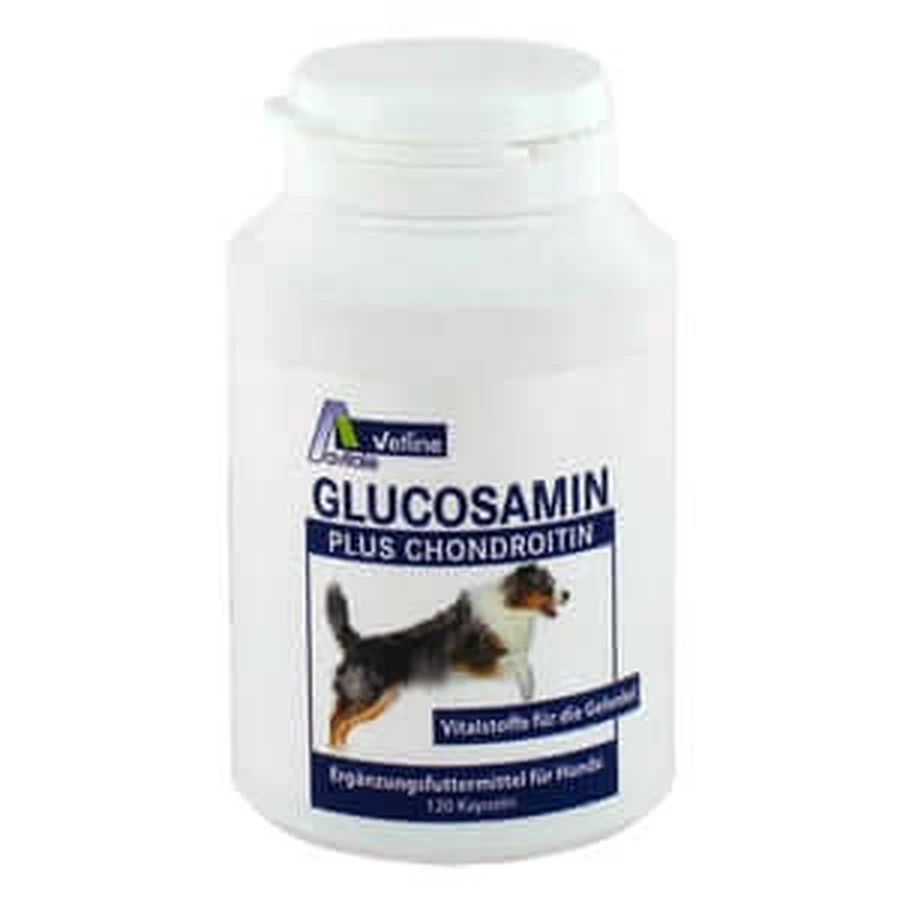 Glucosamin+Chondroitin Hunde 120 St
