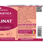 Insulinat x 60 capsules, Herbagetica