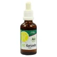 Coriander extract (organic) 50 ml