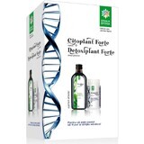 Cytoplant Forte, 270 cápsulas + Detoxifier Forte, 500 ml, Divine Star
