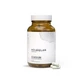 Moleqlar Longevity Qnesium Magnesium Complex 120 St