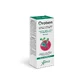 Oroben gel buccal 15 ml