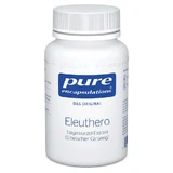 pure encapsulations Eleuthero 0,8% 60 St