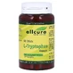 allcura L-Tryptophan Kapseln 90 St