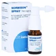 NORMISON SPRAY ear spray 10 ml