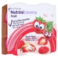 Nutrini Romige Fruitbessen 4X100 g