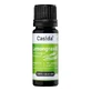 Casida lemongrass oil / lemongrass oil natural 10 ml