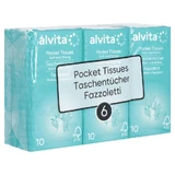 Alvita Taschentücher 6X10 St