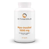 Vitaworld Myo-Inositol 1000 mg 120 St