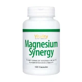 Magnesium Synergy 120 St