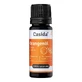 Olio di arancia Casida naturale 10 ml