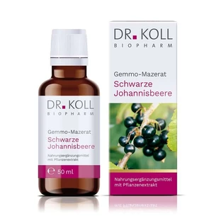 Gemmo Mazerat schwarze Johannisbeere Dr.Koll Ribes 50 ml