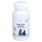 Quercetine 500 mg capsules 60 Capsules
