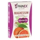 Magnesium MET vitamine C PAINEX 20 St