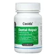 Casida Dental Repair Probiotica 60 St